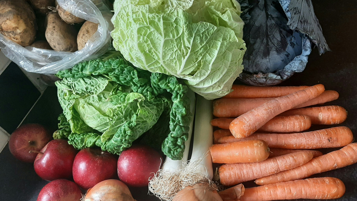 A collection of fresh produce including carrots, red apples, onions, leafy green vegetables, and a plastic bag of potatoes.